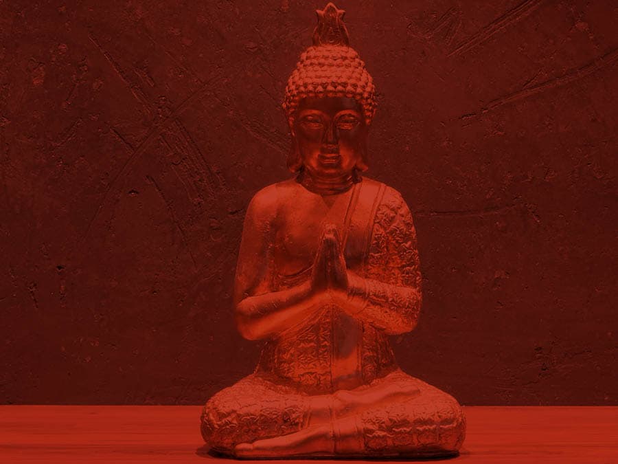 Yoga and meditation - Ayurveda Resort Mandira