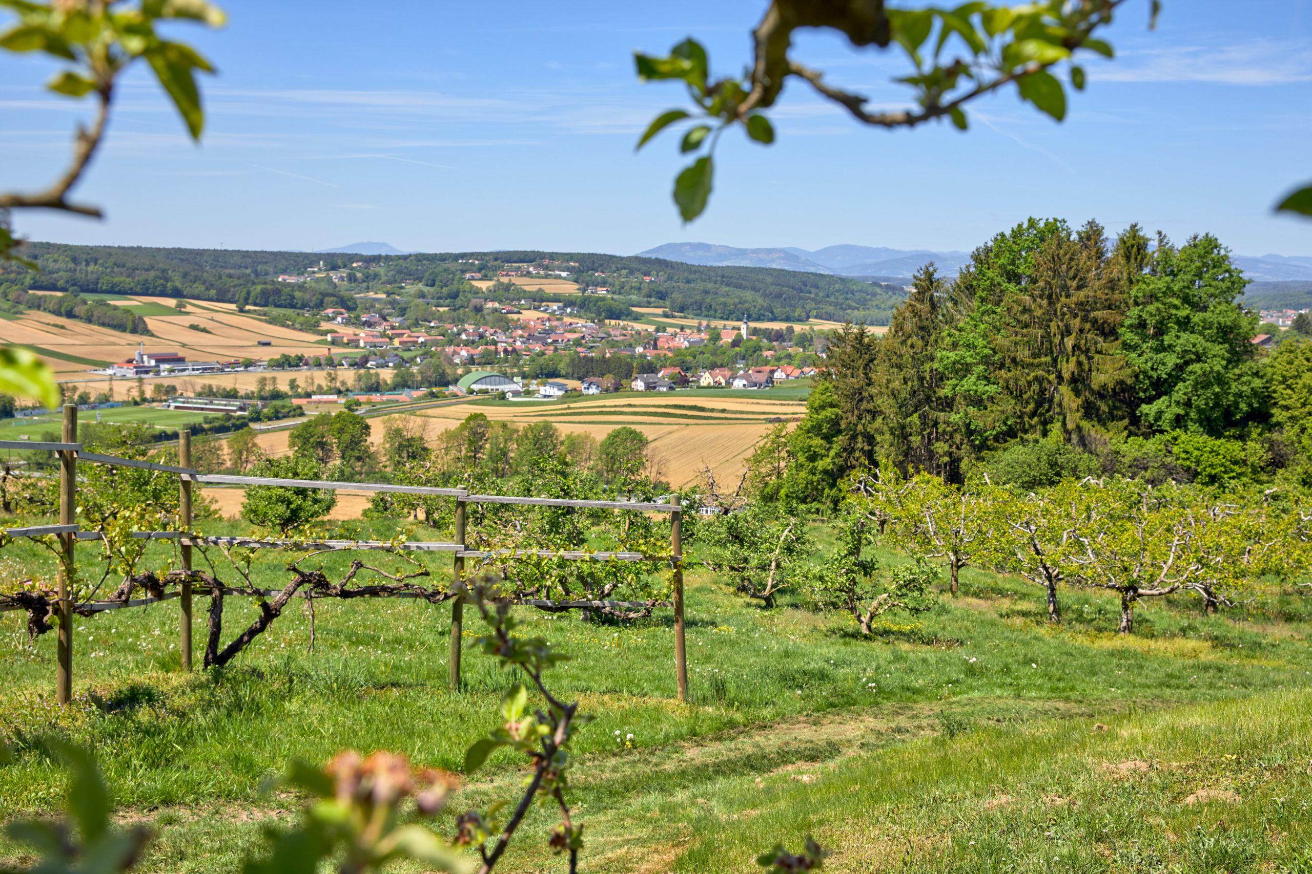 Experience variety on your Ayurvedic holiday in Styria’s Bad Waltersdorf
